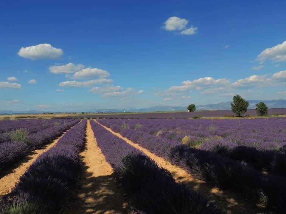 Vila Le Romulus Roumoules Exteriér fotografie