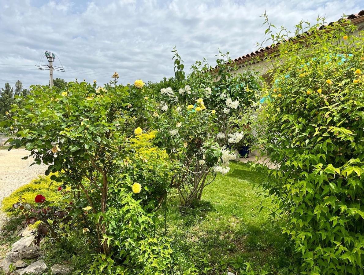 Vila Le Romulus Roumoules Exteriér fotografie